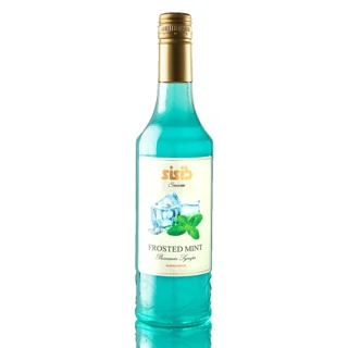 سیروپ نعنا یخی 300 میلی لیتر
